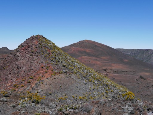 guide randonnée réunion plaine des sables